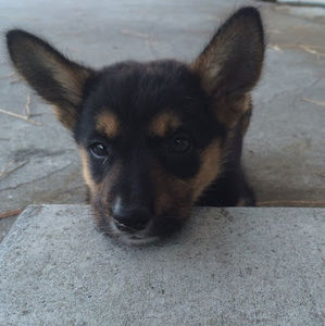 Meet your Posher, Kimberly